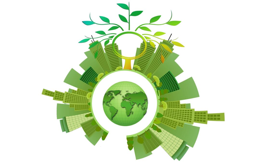 Lansarea campaniei de formare, certificare și networking în sprijinul Guvernanței Sustenabilității Corporative (ESG) – Dezvoltării Durabile